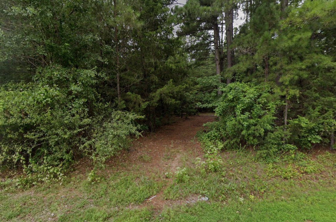 000 Cr 1200 Daingerfield TX 75686