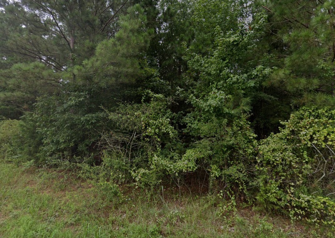 000 Cr 1200 Daingerfield TX 75686