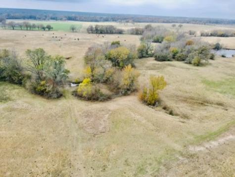 1751 County Road 3561 Sulphur Bluff TX 75481
