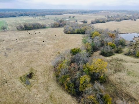 1751 County Road 3561 Sulphur Bluff TX 75481