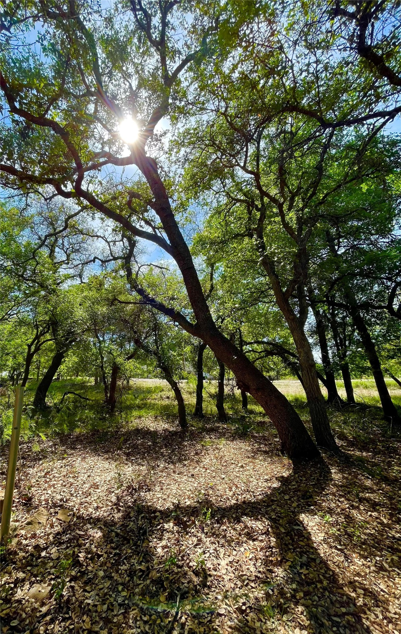 Tbd (Lots 785, 786) Oak Point Drive May TX 76857