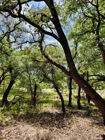TBD (Lots 785,786) Oak Point Drive May TX 76857
