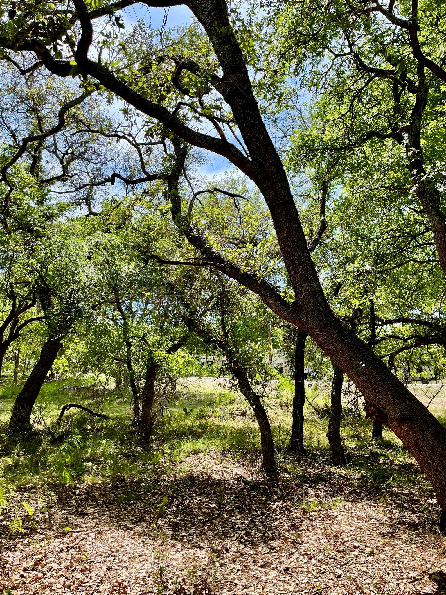 Tbd (Lots 785, 786) Oak Point Drive May TX 76857