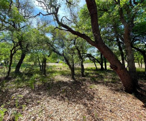Tbd (Lots 785, 786) Oak Point Drive May TX 76857