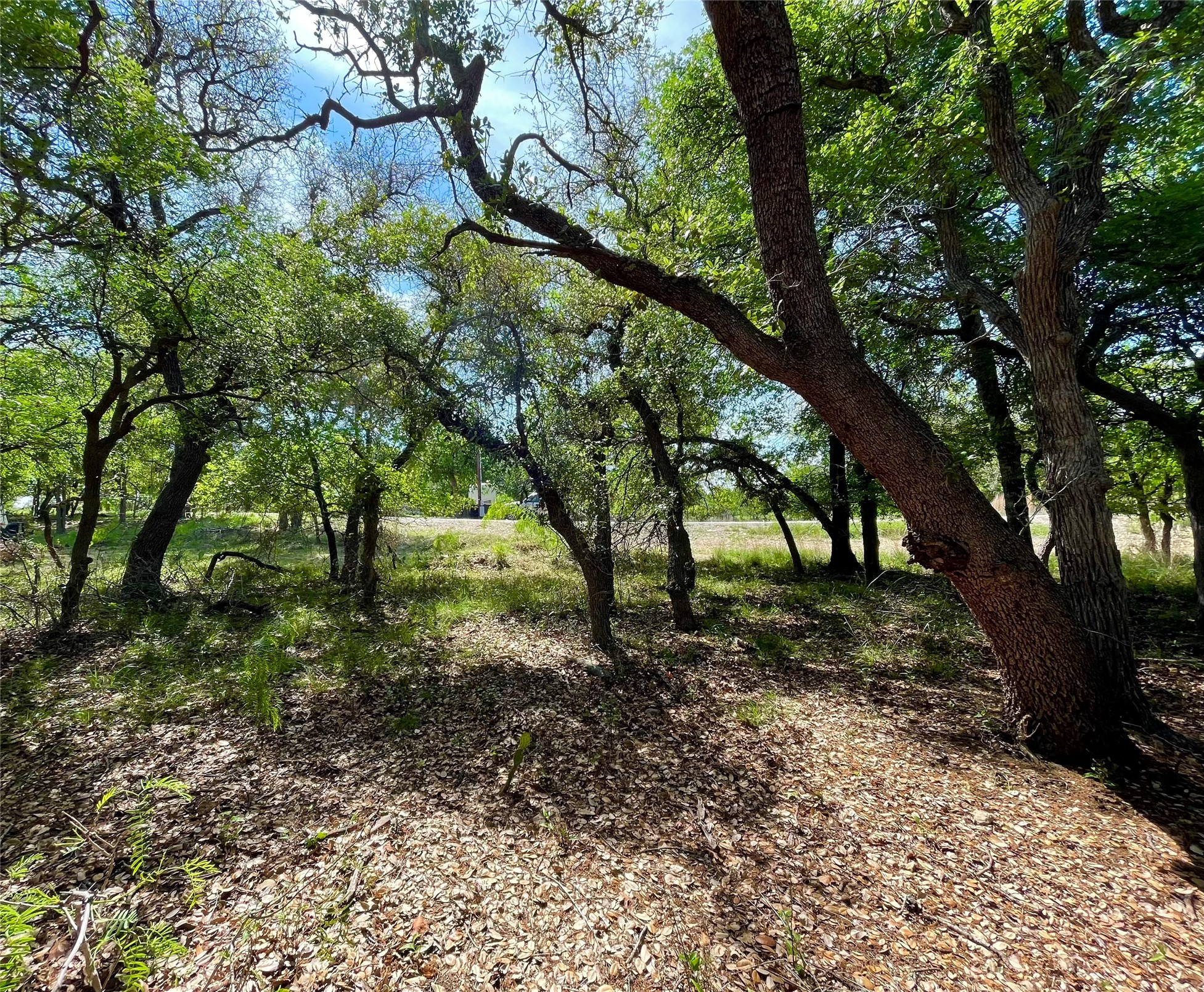 Tbd (Lots 785, 786) Oak Point Drive May TX 76857