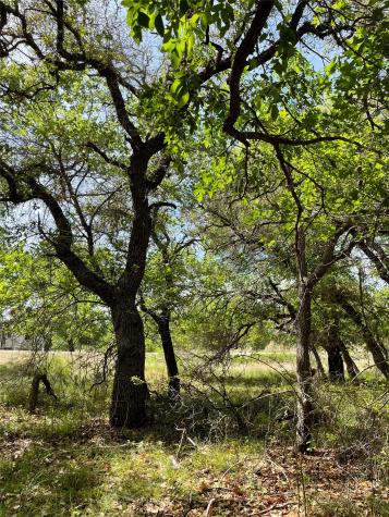 Tbd (Lots 785, 786) Oak Point Drive May TX 76857