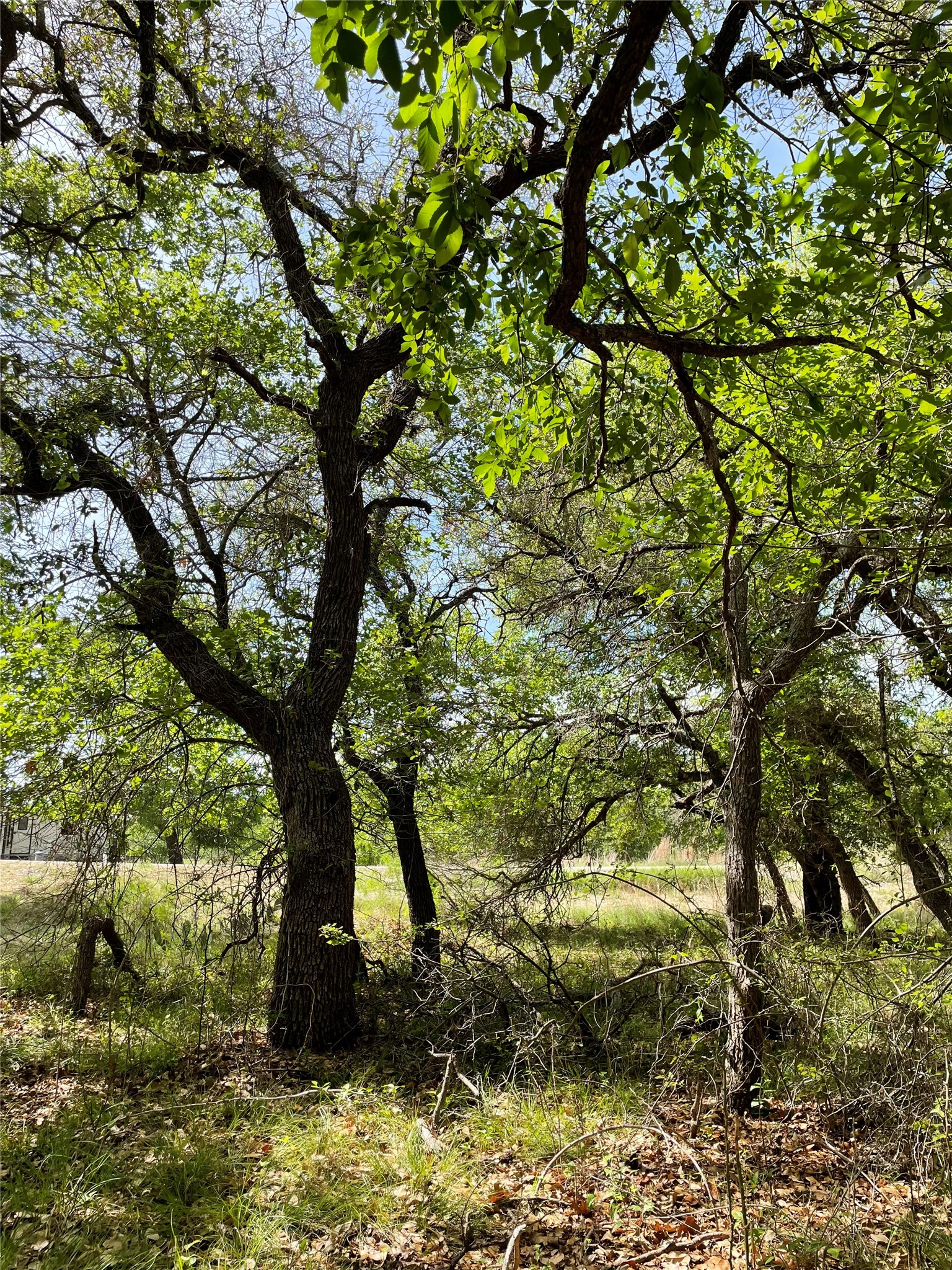 Tbd (Lots 785, 786) Oak Point Drive May TX 76857
