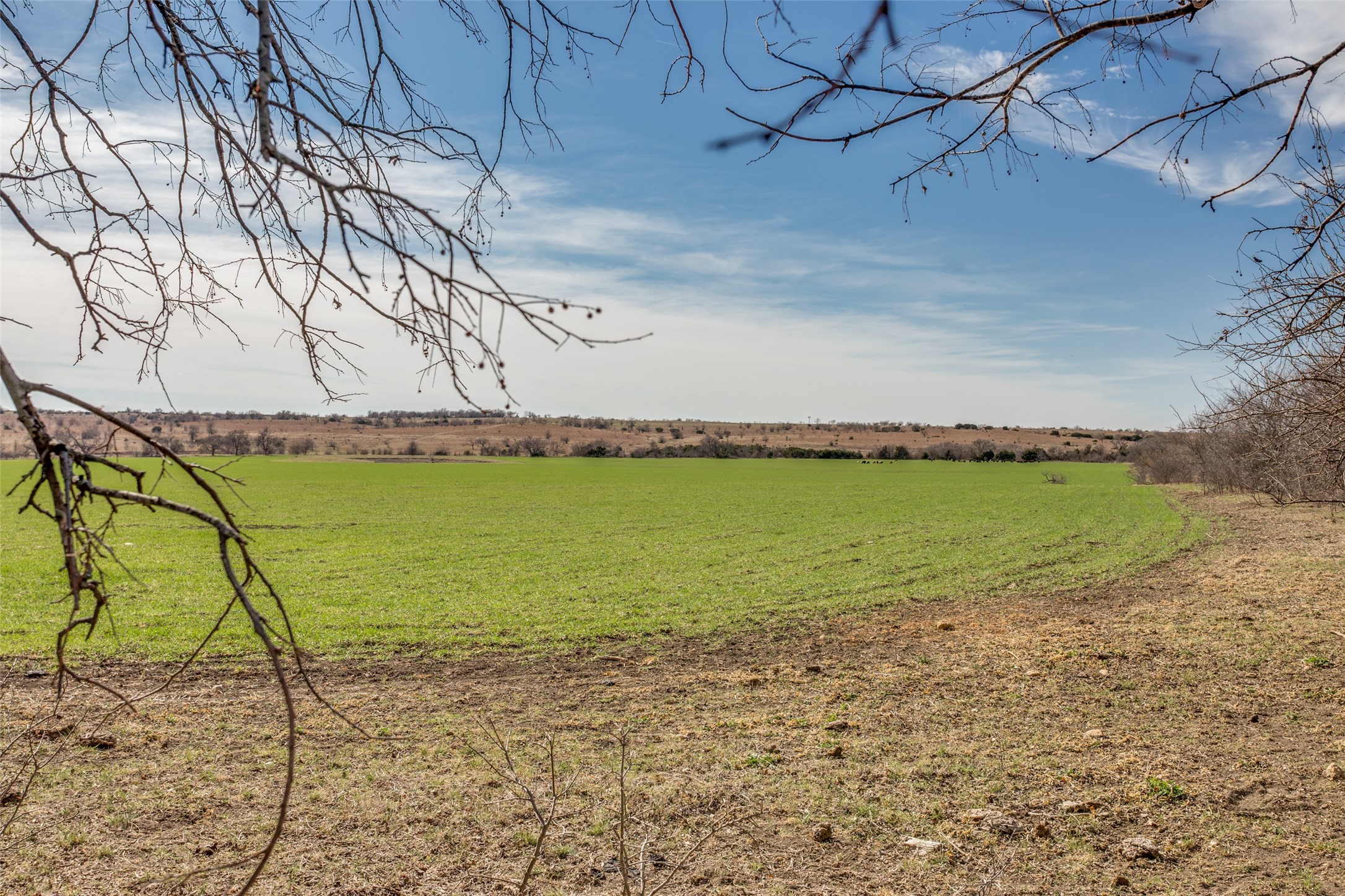 4300 County Road 1224 Cleburne TX 76033