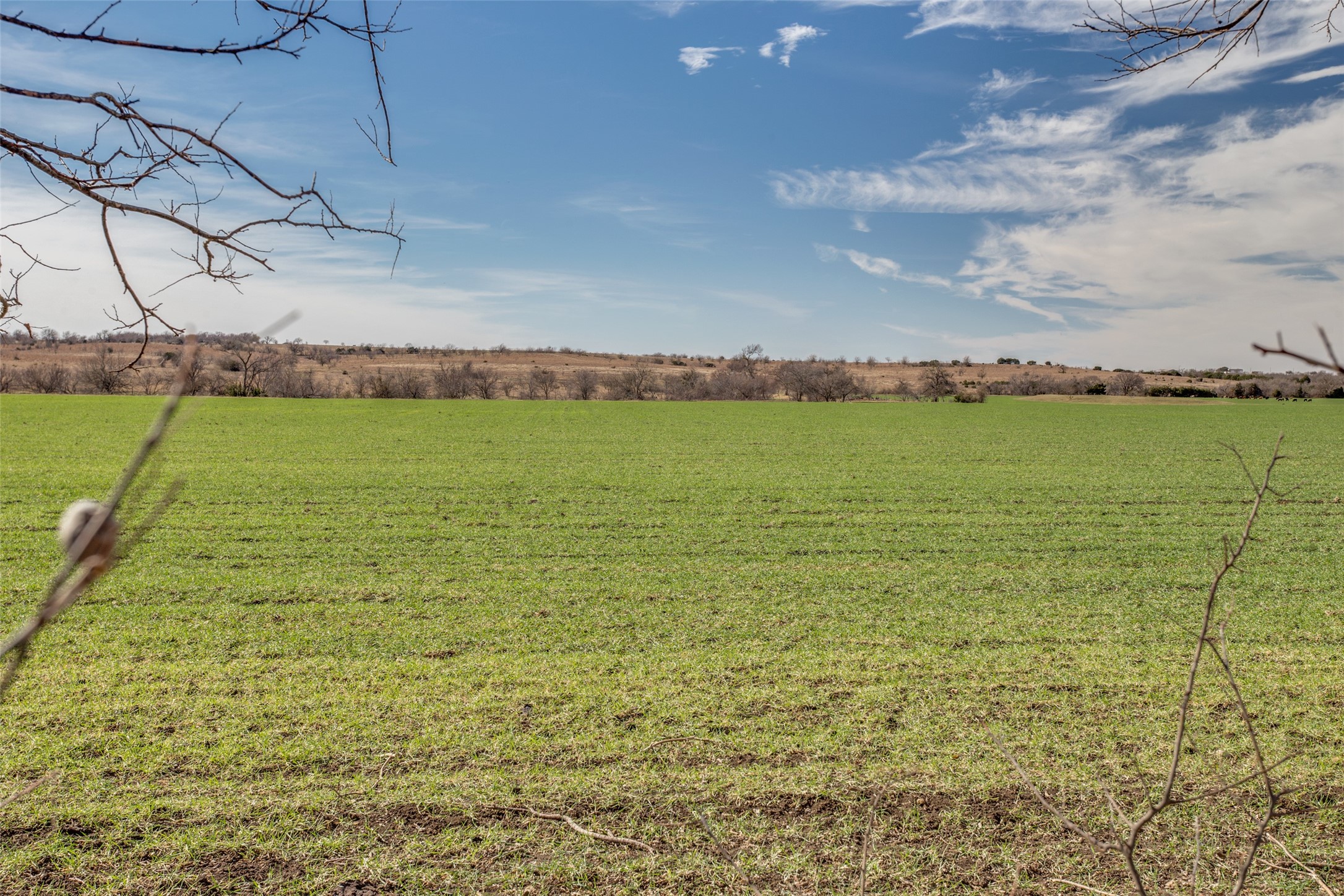 4300 County Road 1224 Cleburne TX 76033