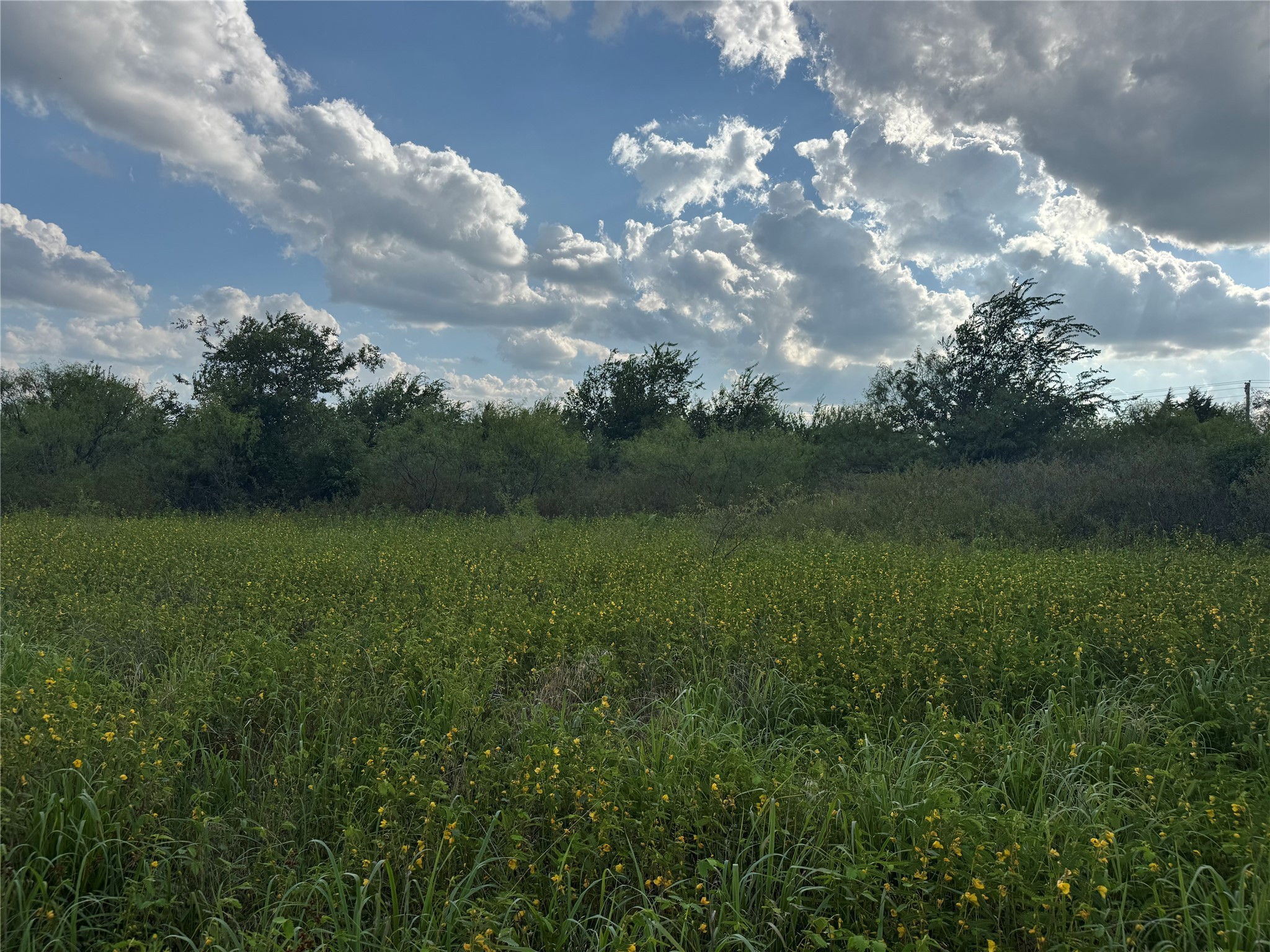 Tbd Watkins Road Bowie TX 76230