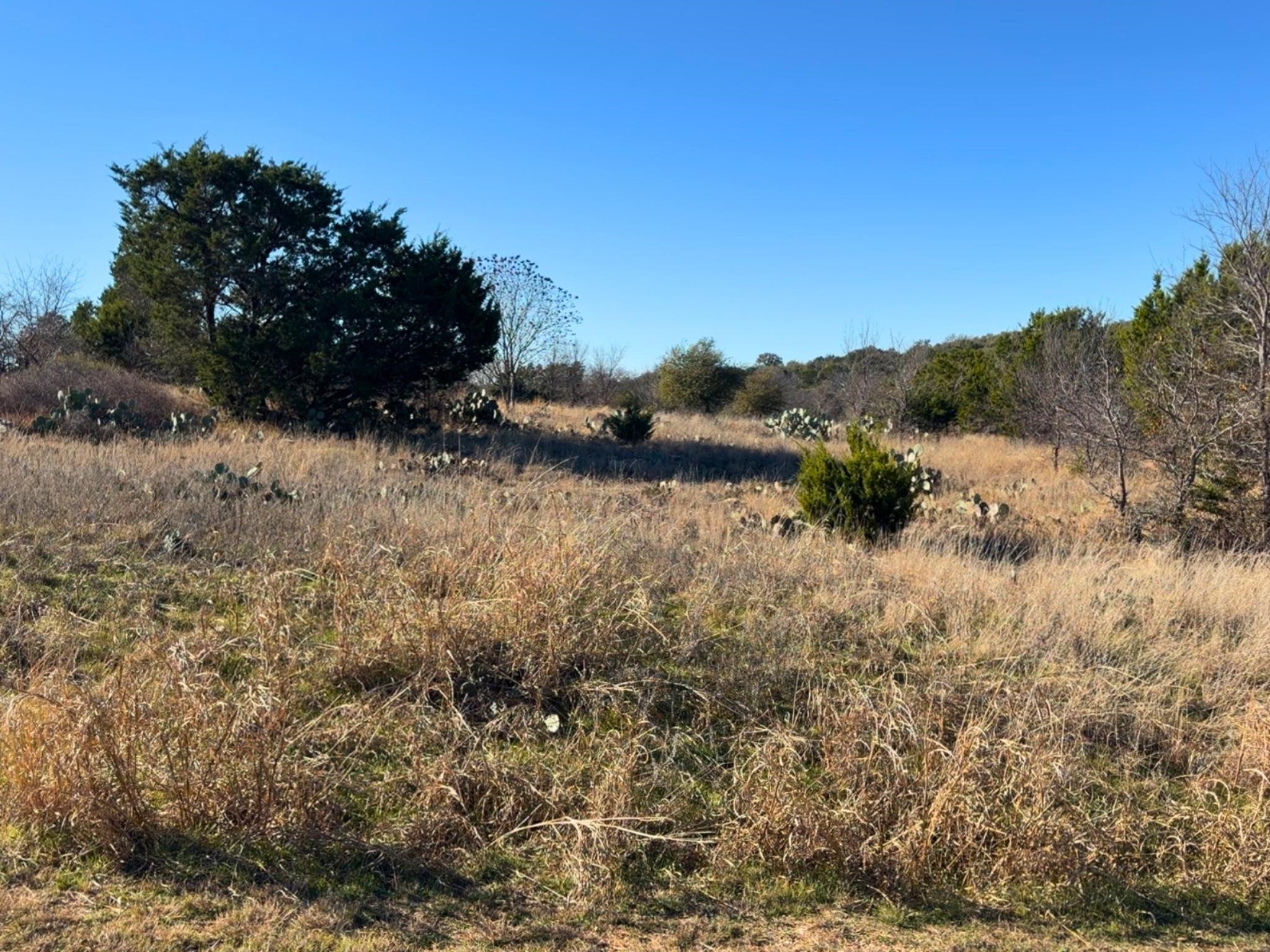 Lot 115 Balleycastle Drive Graford TX 76449