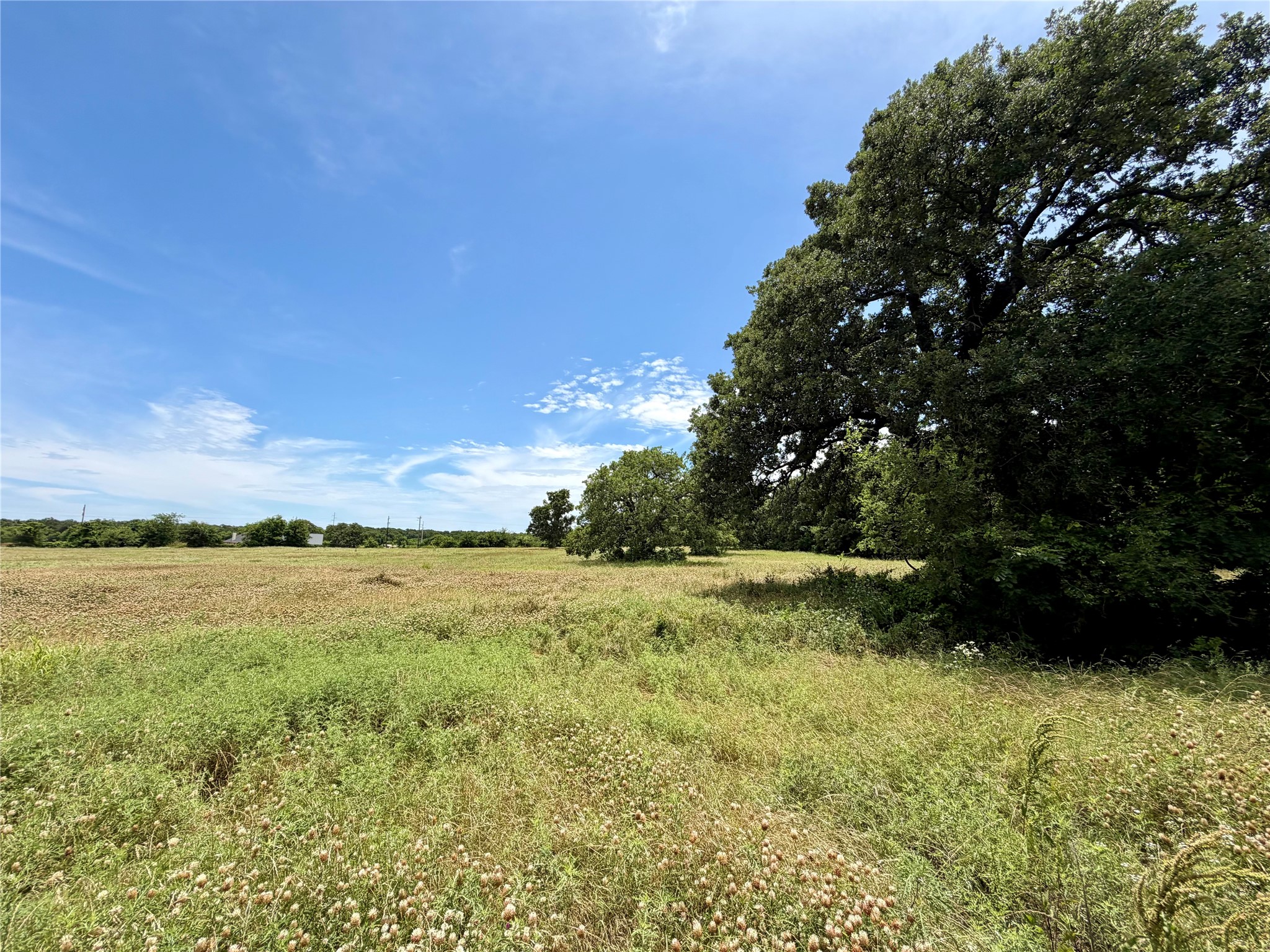 533 Redbird Lane Bowie TX 76230