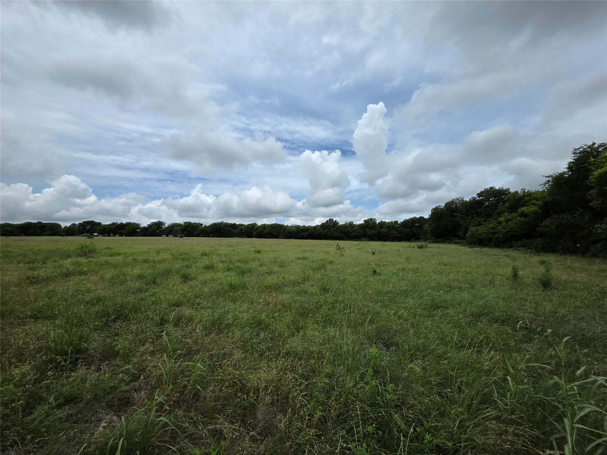 Tbd Fm 1173 Krum TX 76249
