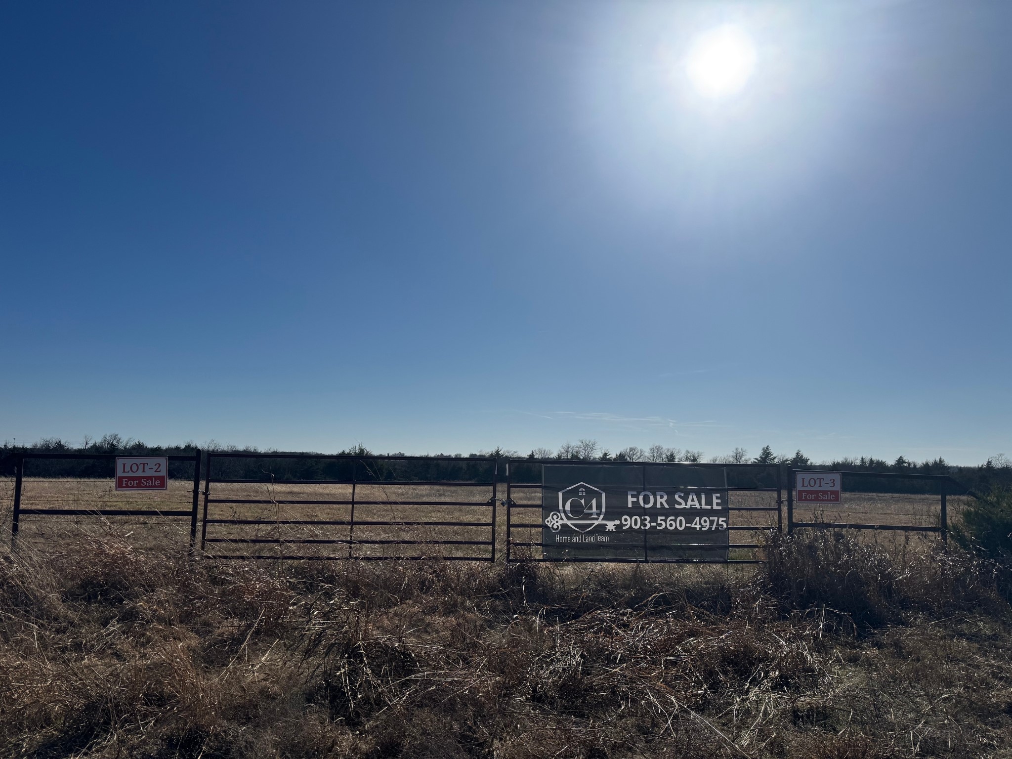 Tbd E Highway 82 Dodd City TX 75438