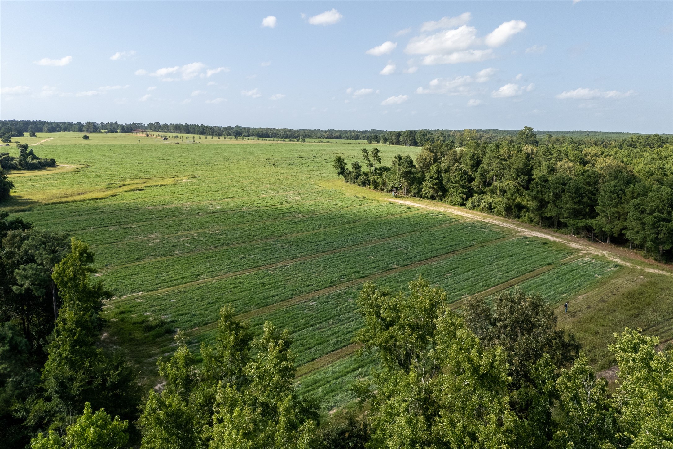 00 County Road 2180 Grapeland TX 75844
