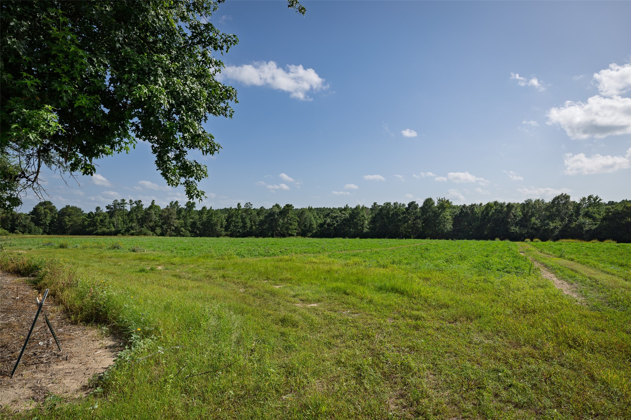 00 County Road 2180 Grapeland TX 75844