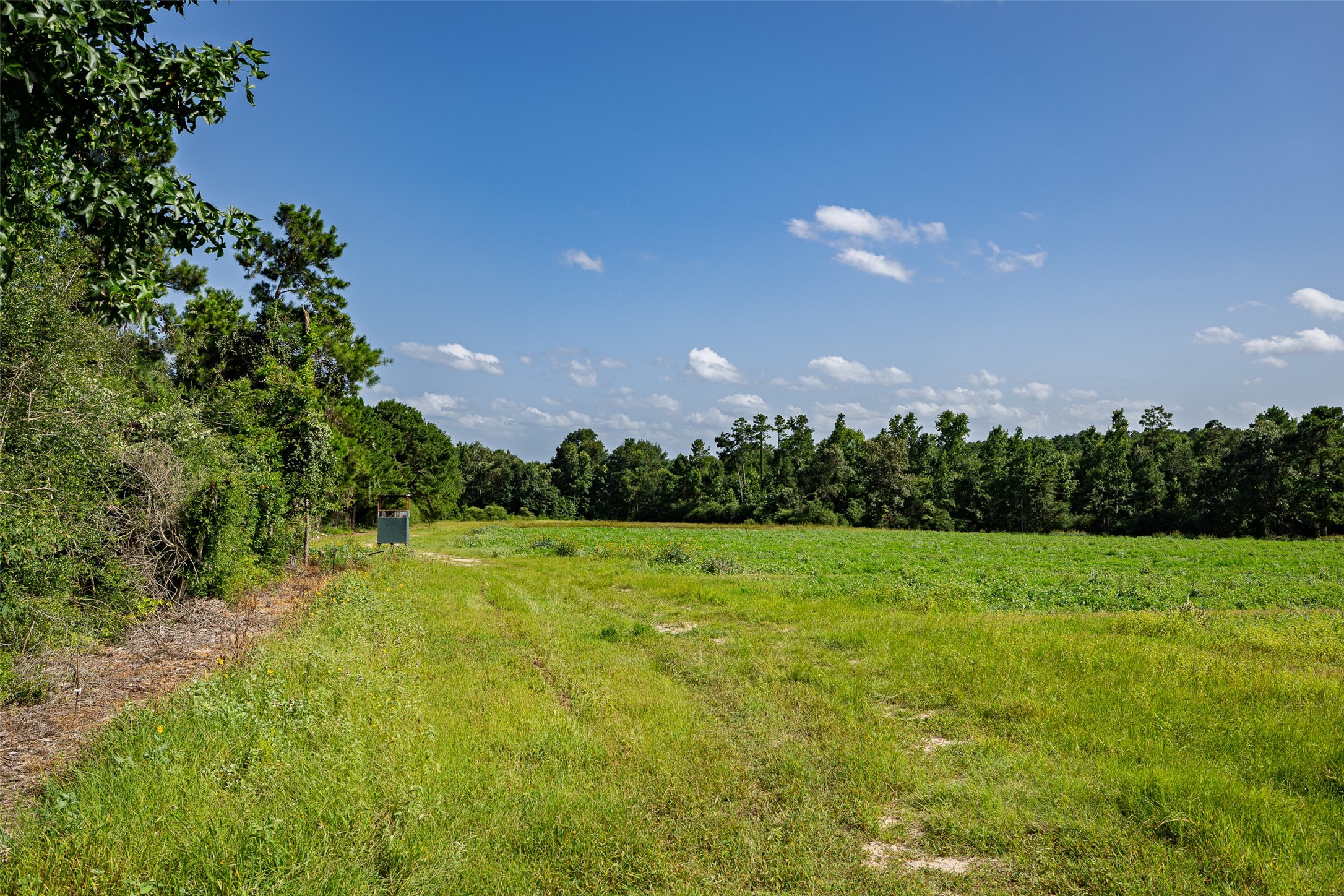 00 County Road 2180 Grapeland TX 75844