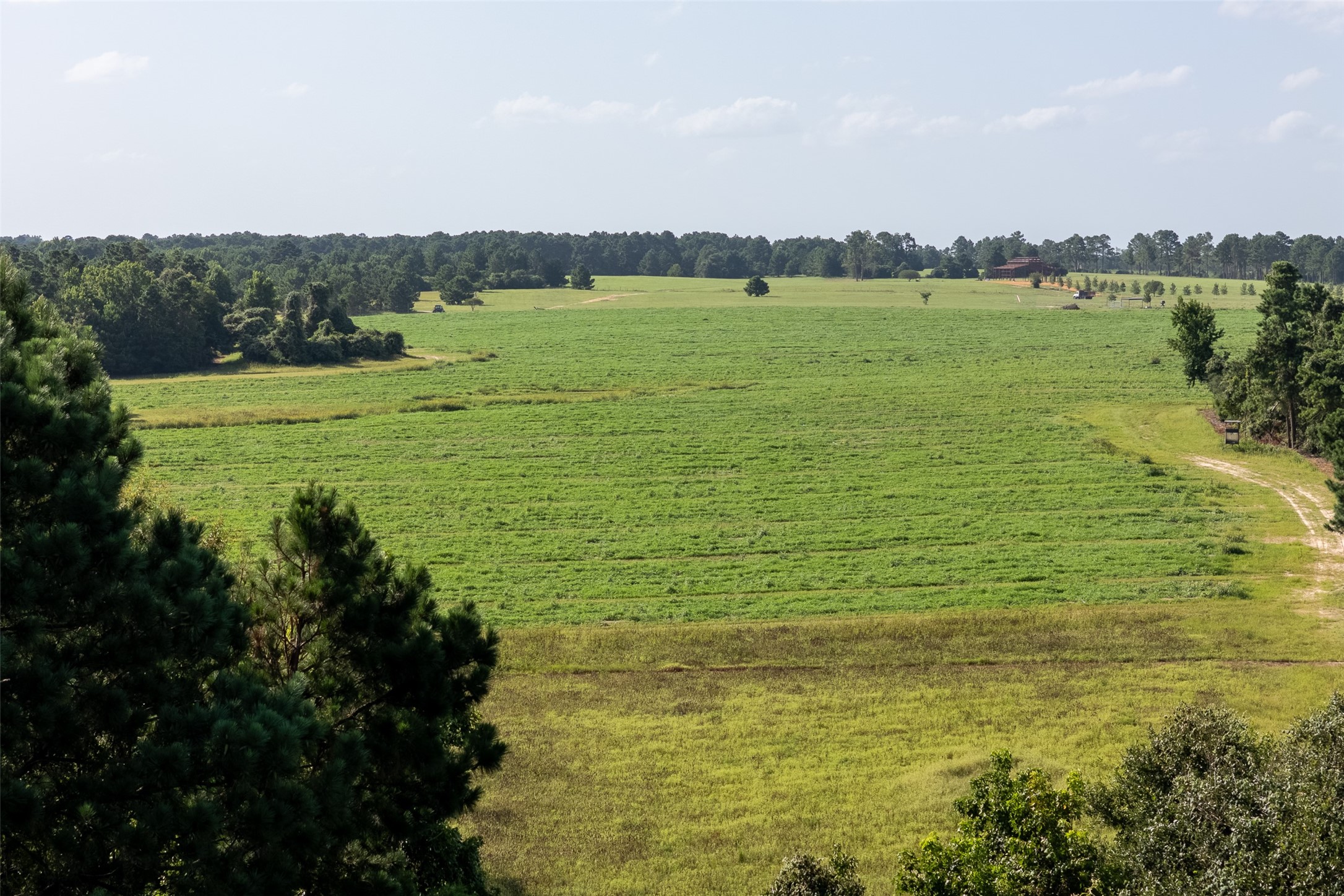 00 County Road 2180 Grapeland TX 75844