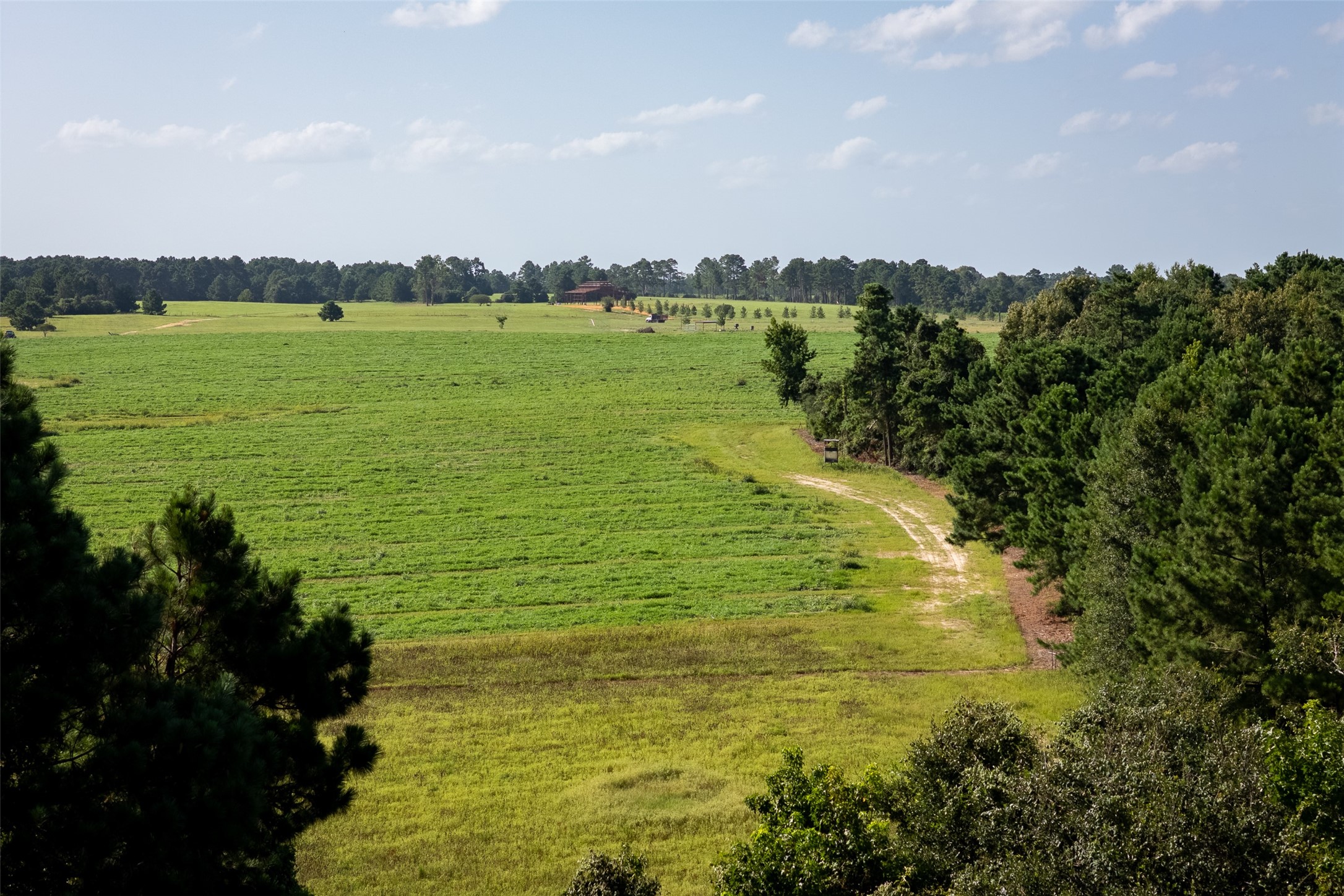 00 County Road 2180 Grapeland TX 75844