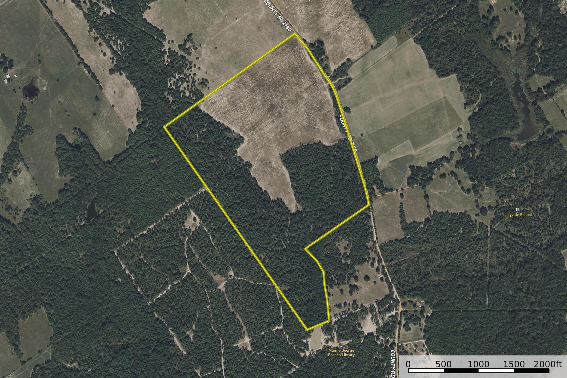 00 County Road 2180 Grapeland TX 75844