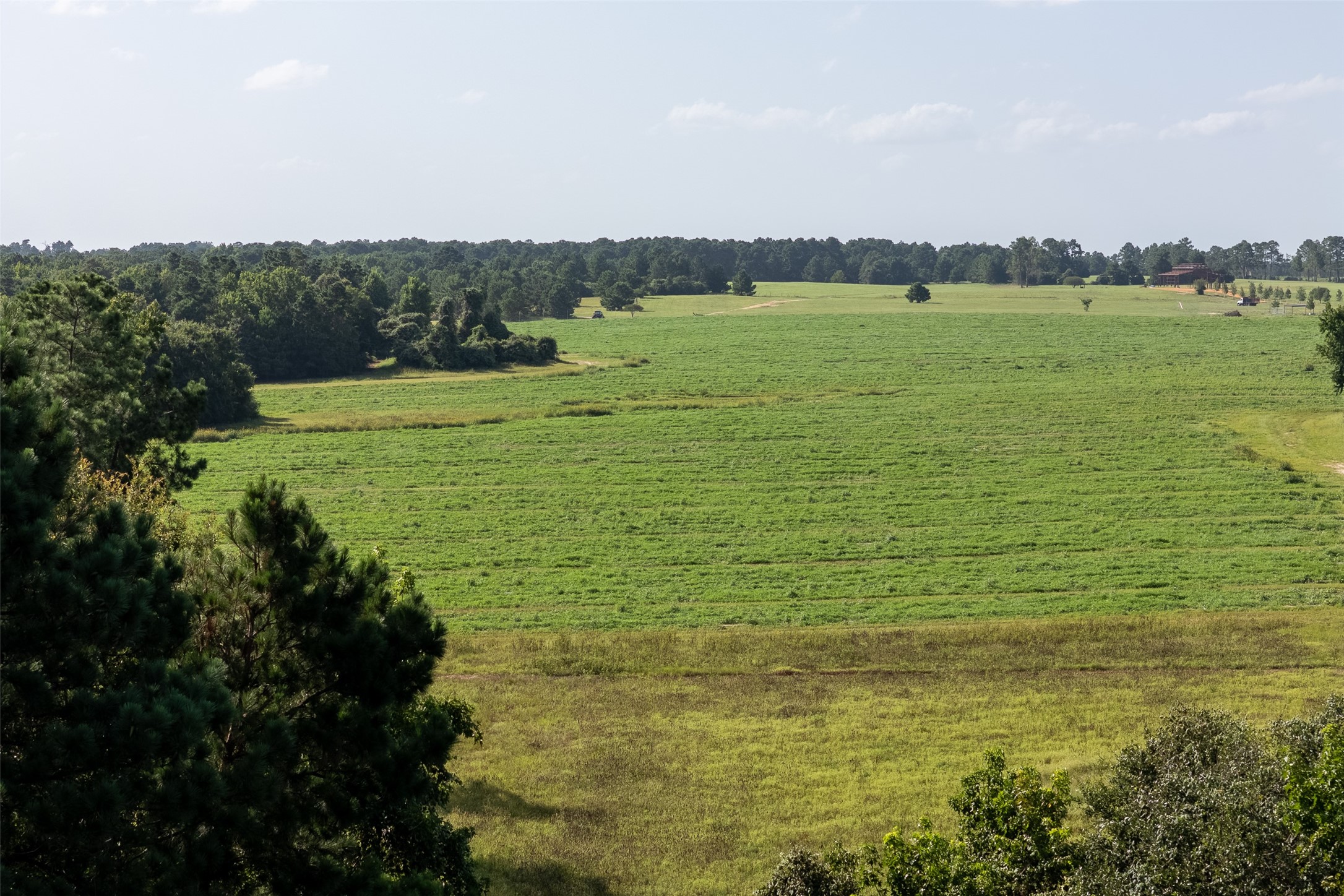 00 County Road 2180 Grapeland TX 75844