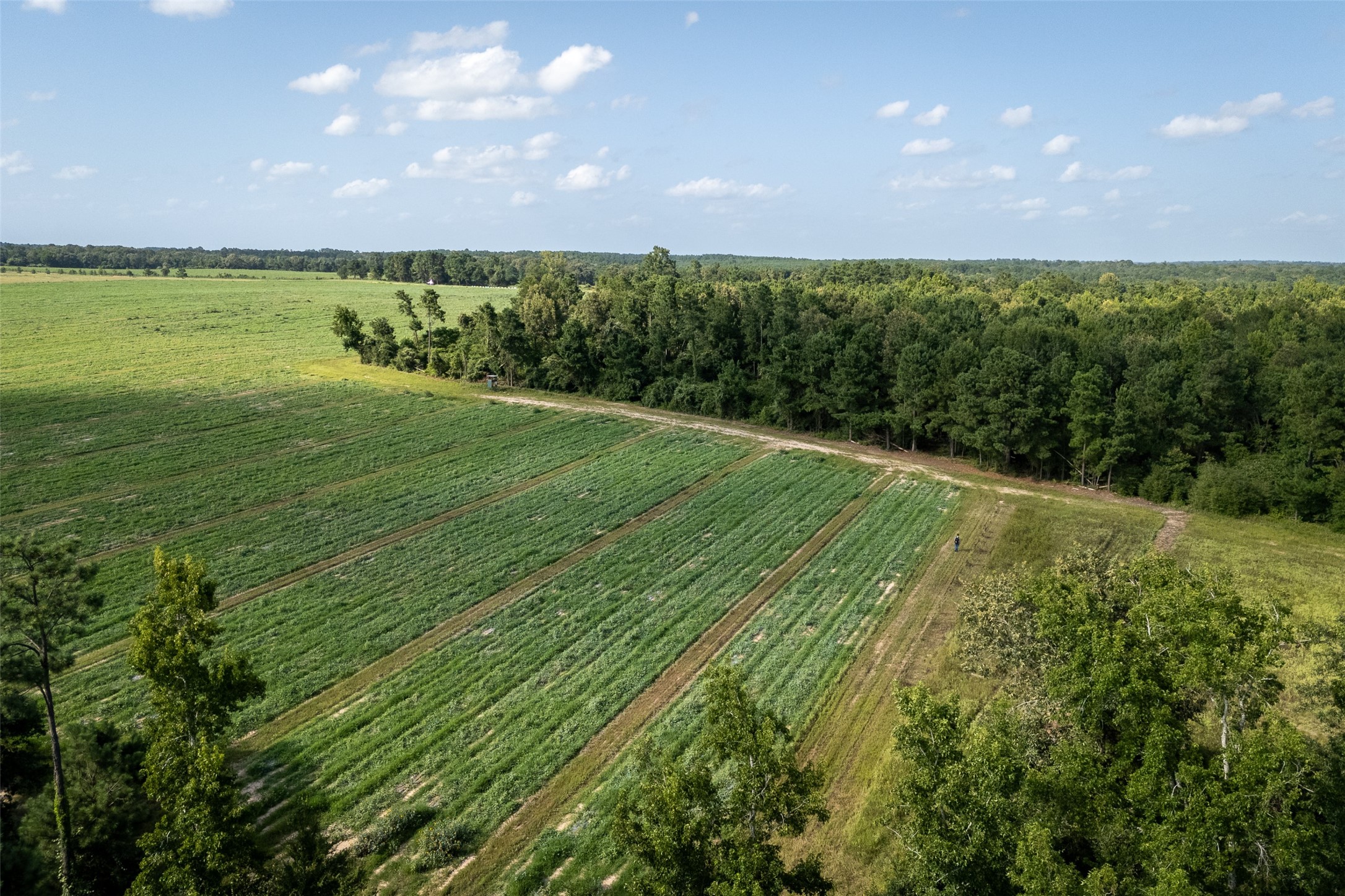 00 County Road 2180 Grapeland TX 75844