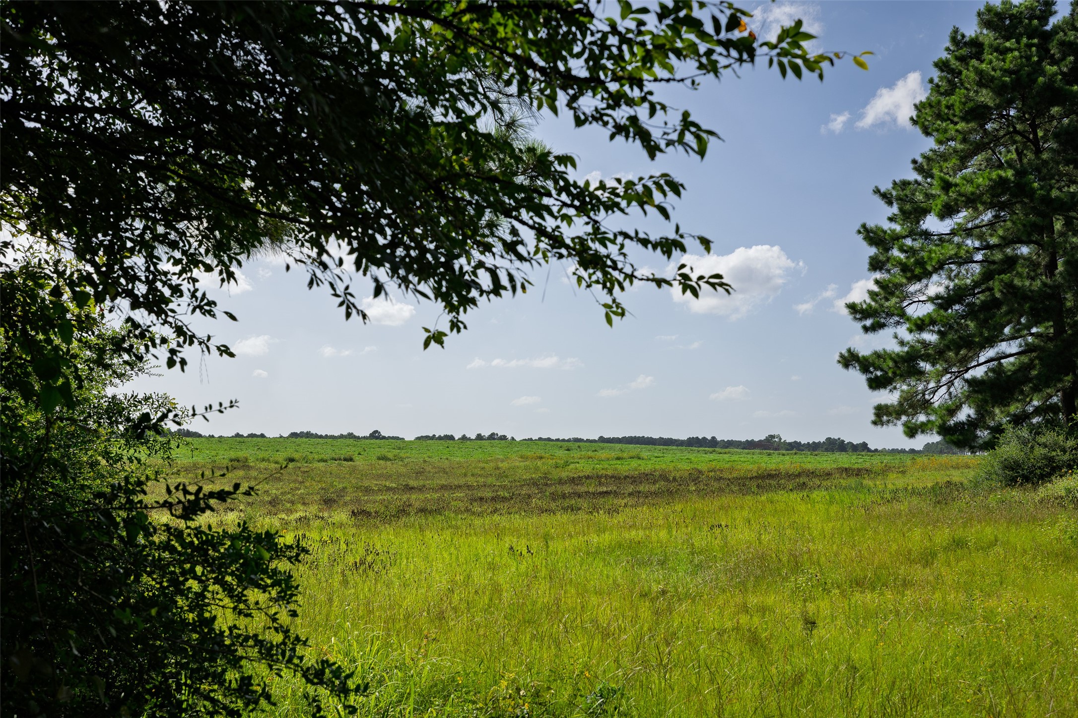 00 County Road 2180 Grapeland TX 75844