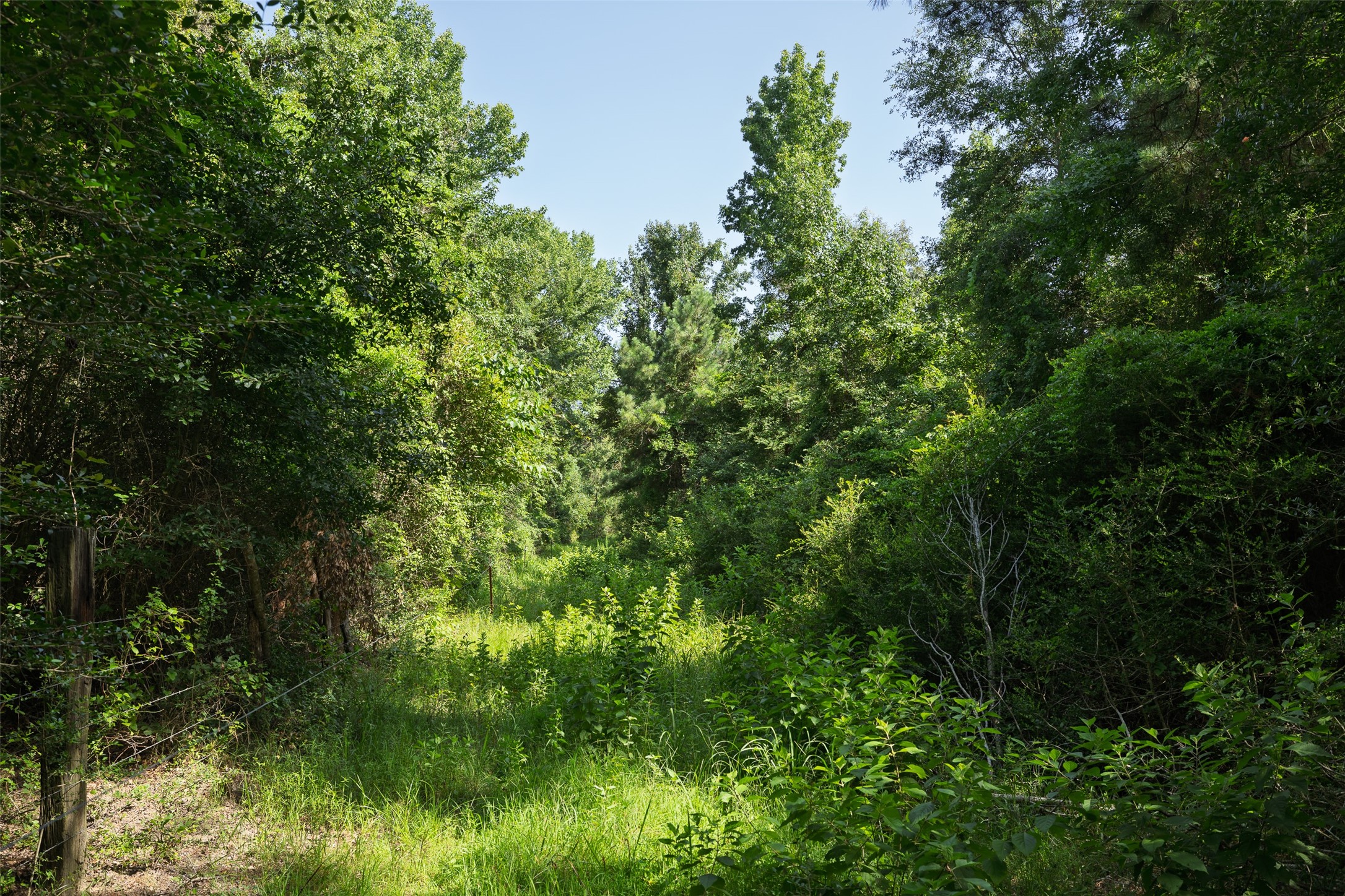 00 County Road 2180 Grapeland TX 75844