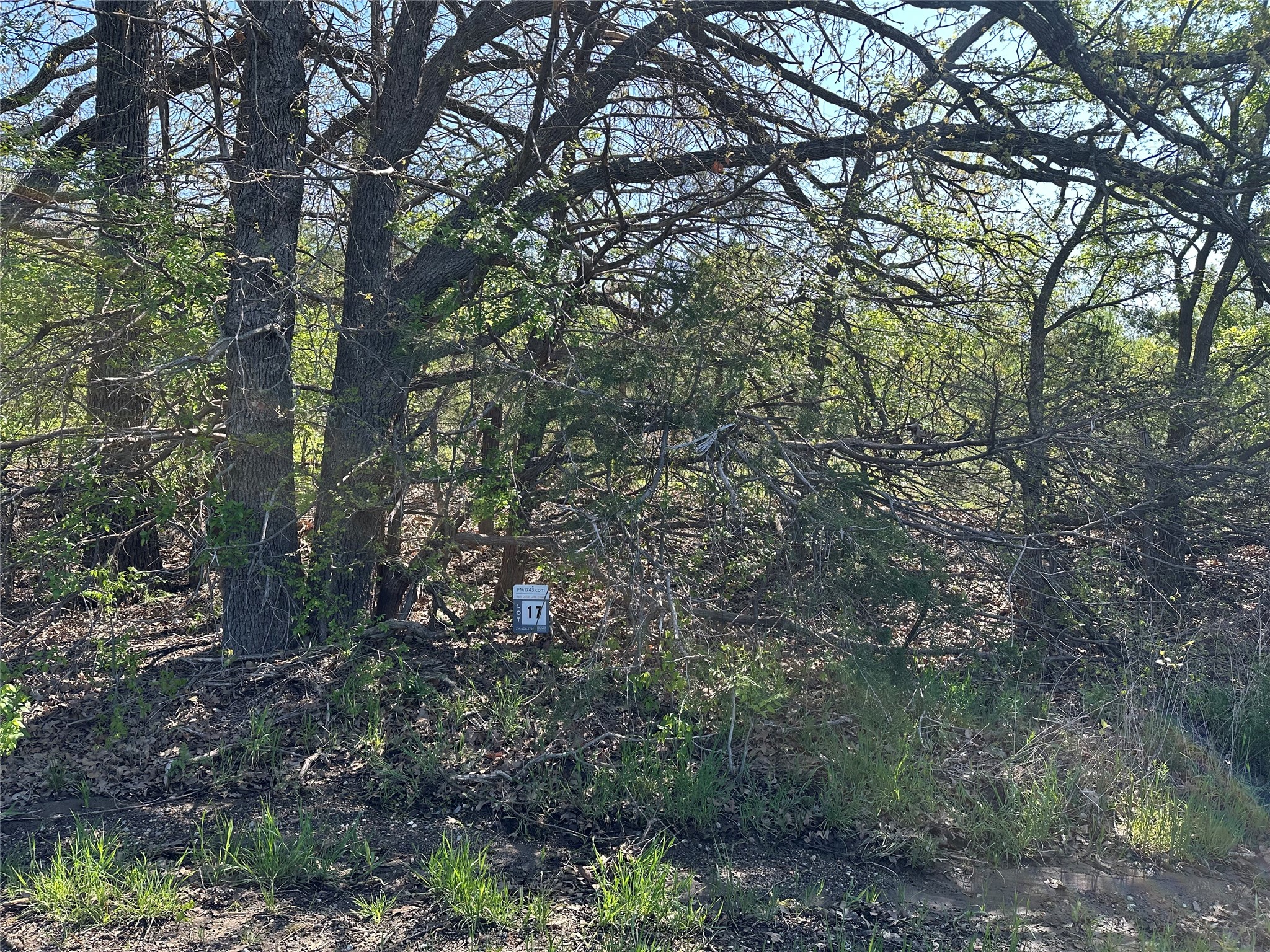 Tract 17 County Road 2960 Honey Grove TX 75446