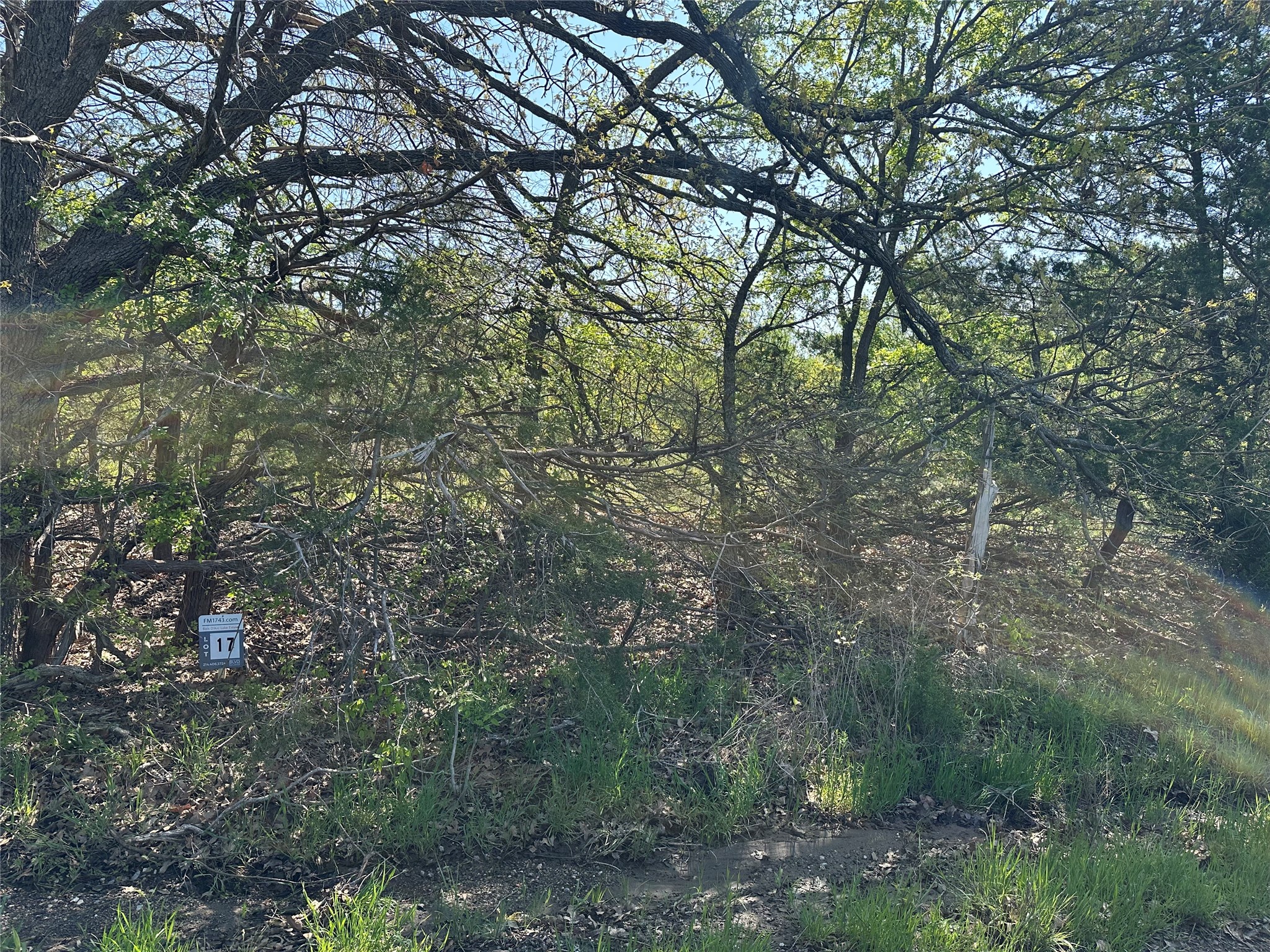 Tract 17 County Road 2960 Honey Grove TX 75446