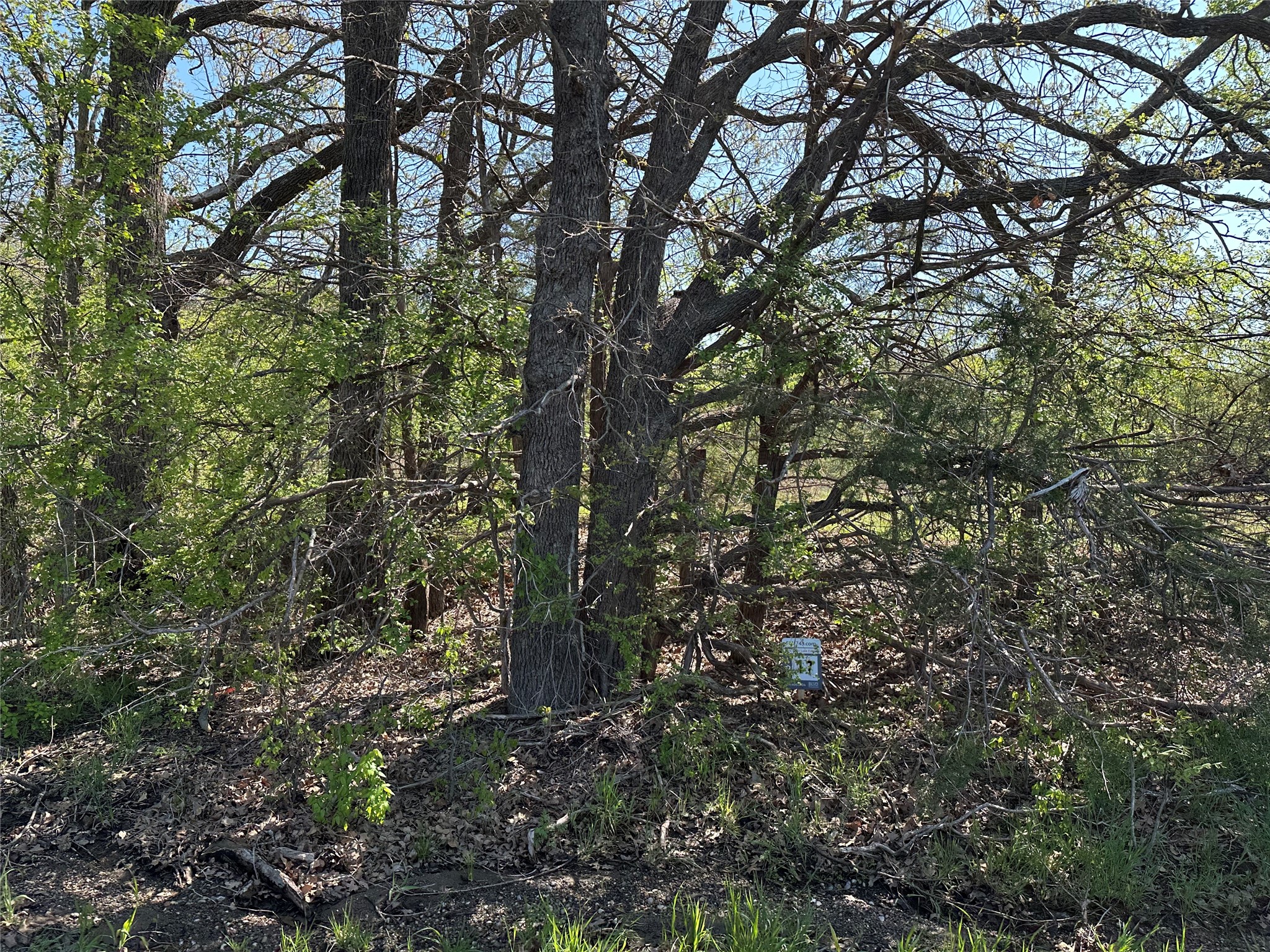 Tract 17 County Road 2960 Honey Grove TX 75446