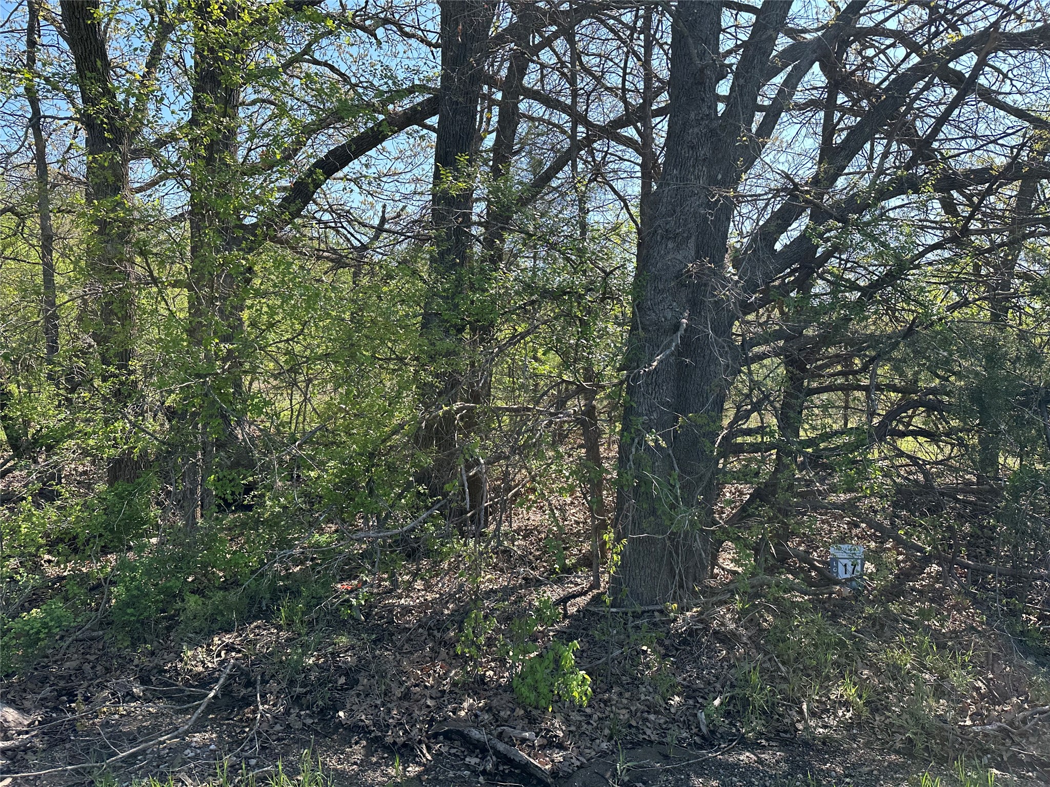 Tract 17 County Road 2960 Honey Grove TX 75446