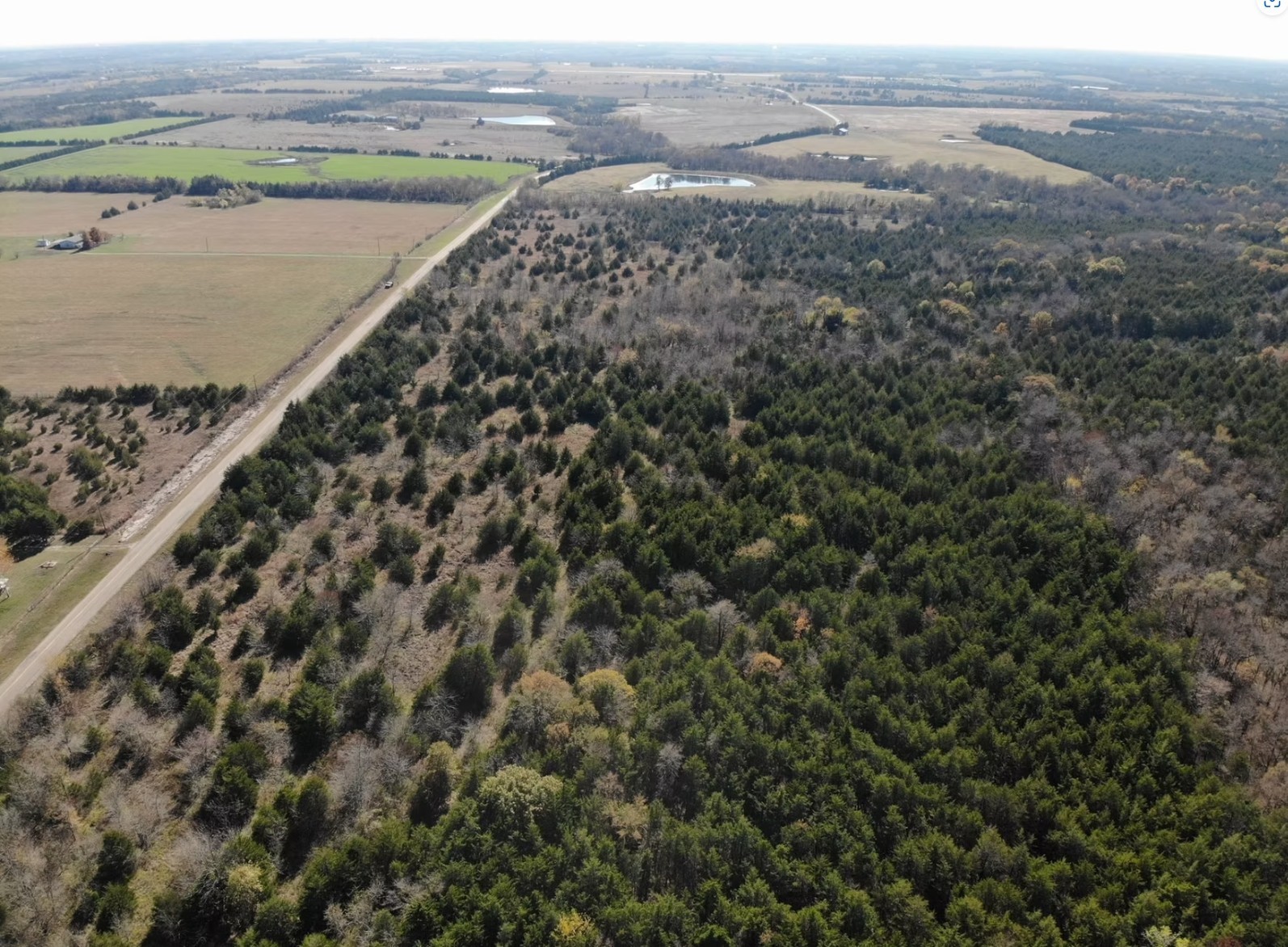 Tract 17 County Road 2960 Honey Grove TX 75446