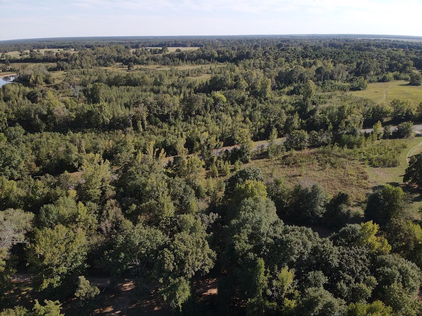 Tbd Fm 195 Bagwell TX 75412