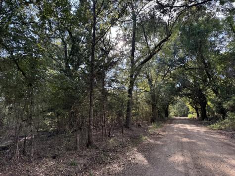 TBD Fm 195 Bagwell TX 75412