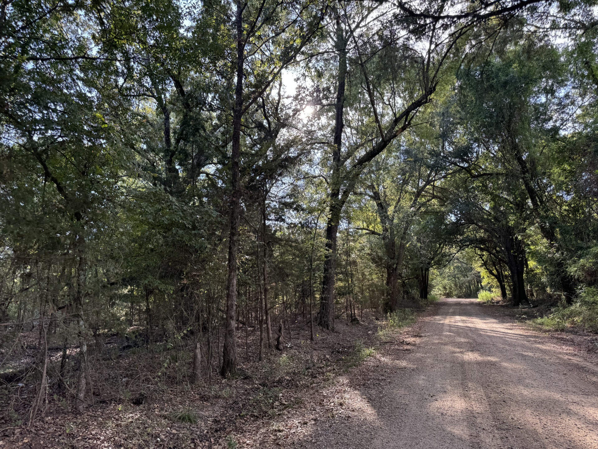 Tbd Fm 195 Bagwell TX 75412