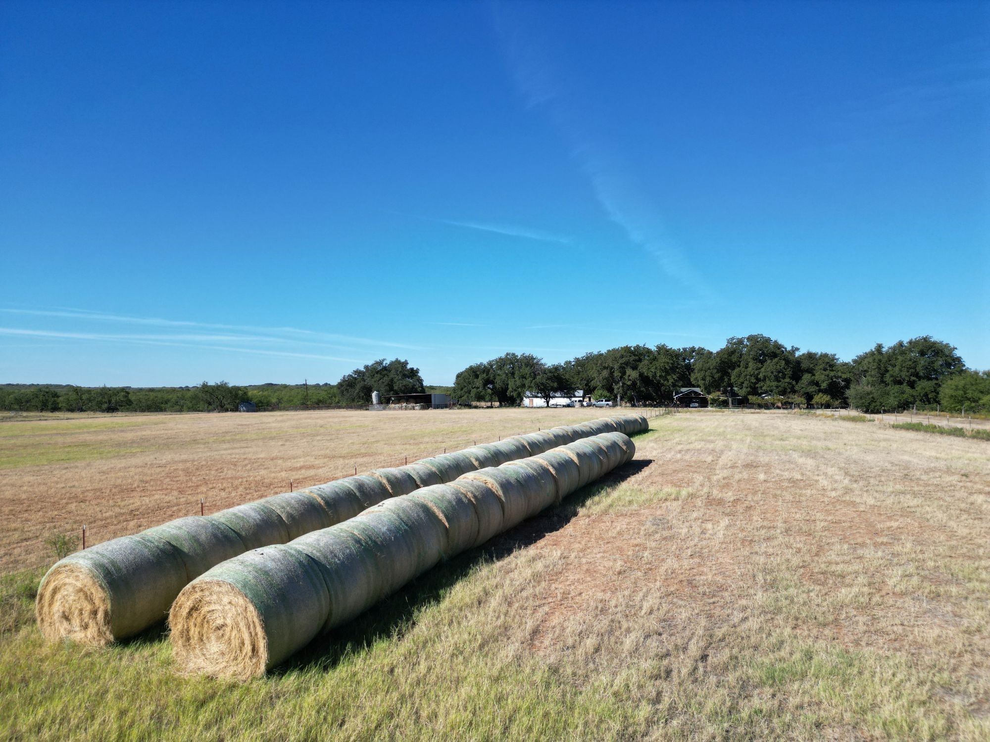2115 North Neches Coleman TX 76834