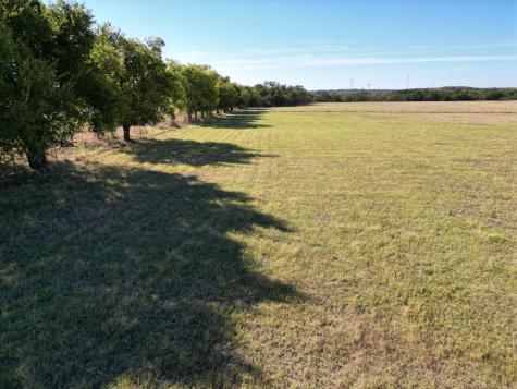 2115 North Neches Coleman TX 76834