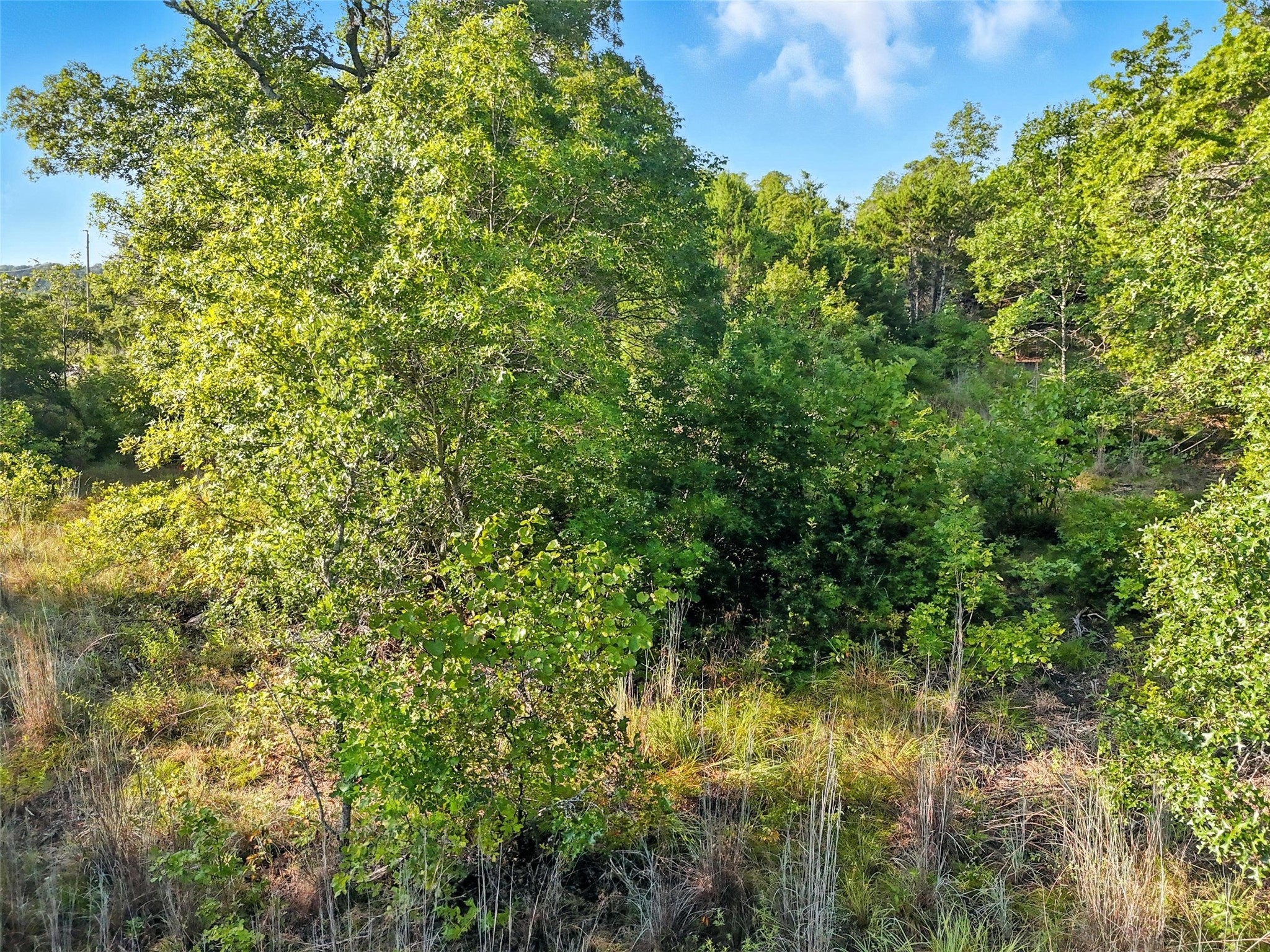 8504 Shetland Court W Cleburne TX 76033