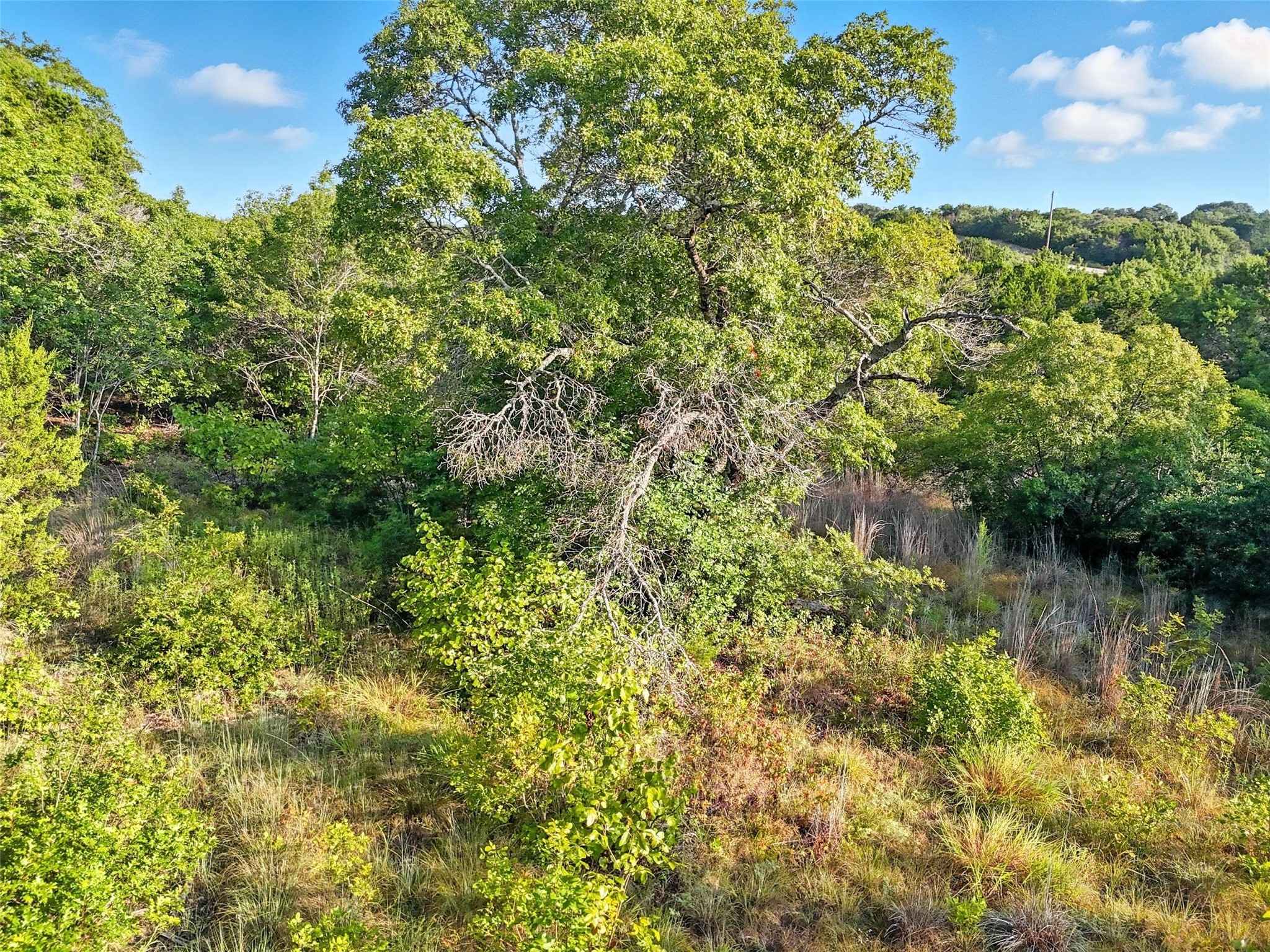 8504 Shetland Court W Cleburne TX 76033