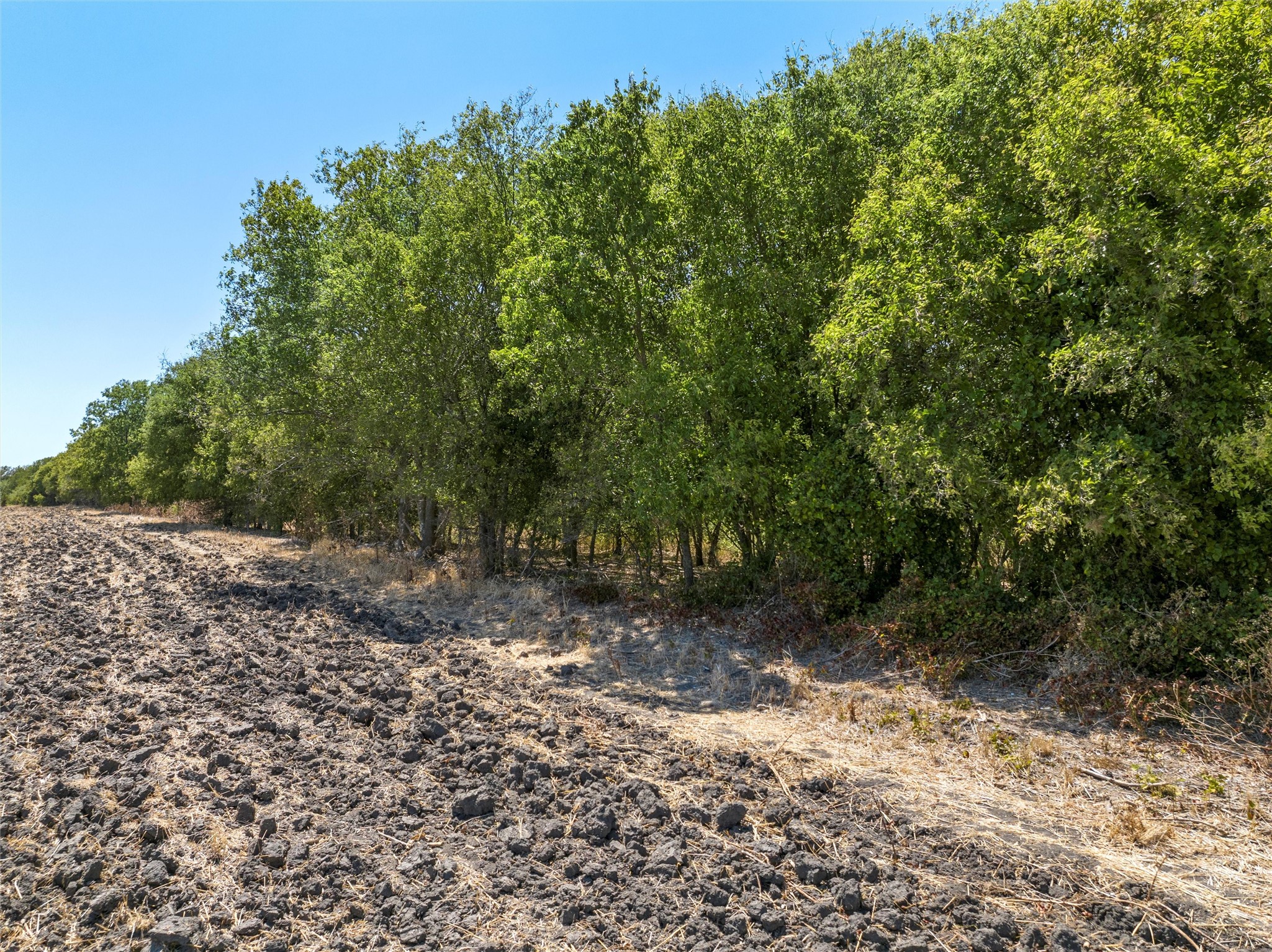 Tbd +/- 12.5 Acres T M West Parkway West TX 76691