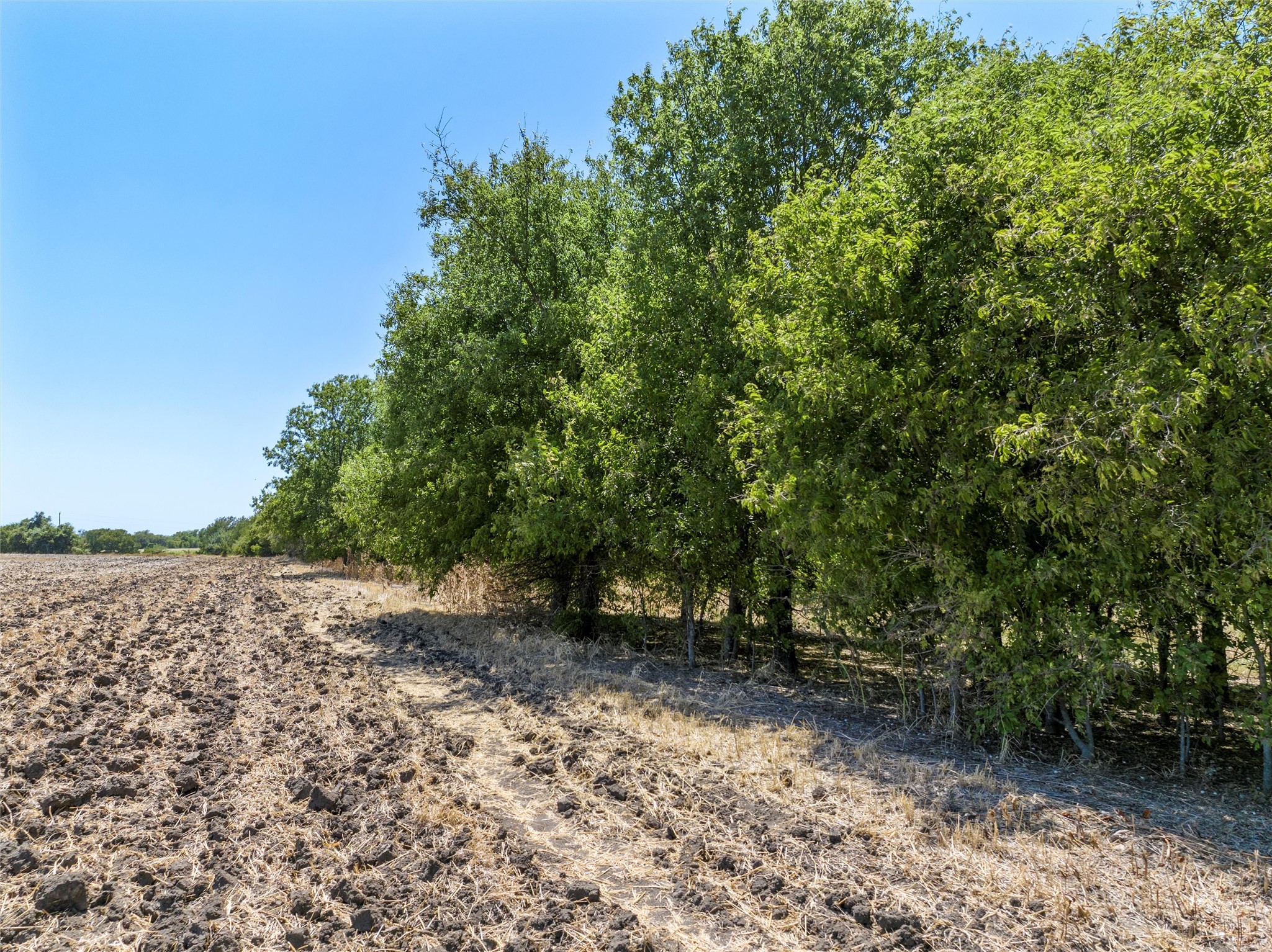 Tbd +/- 12.5 Acres T M West Parkway West TX 76691