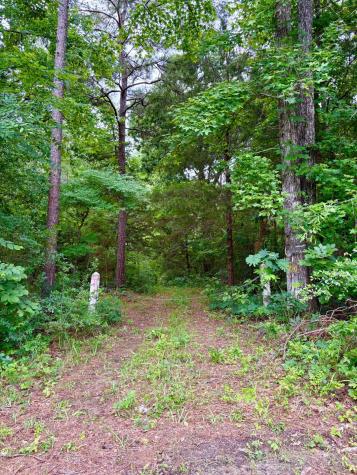 TBD County Road 4504 Jacksonville TX 75766