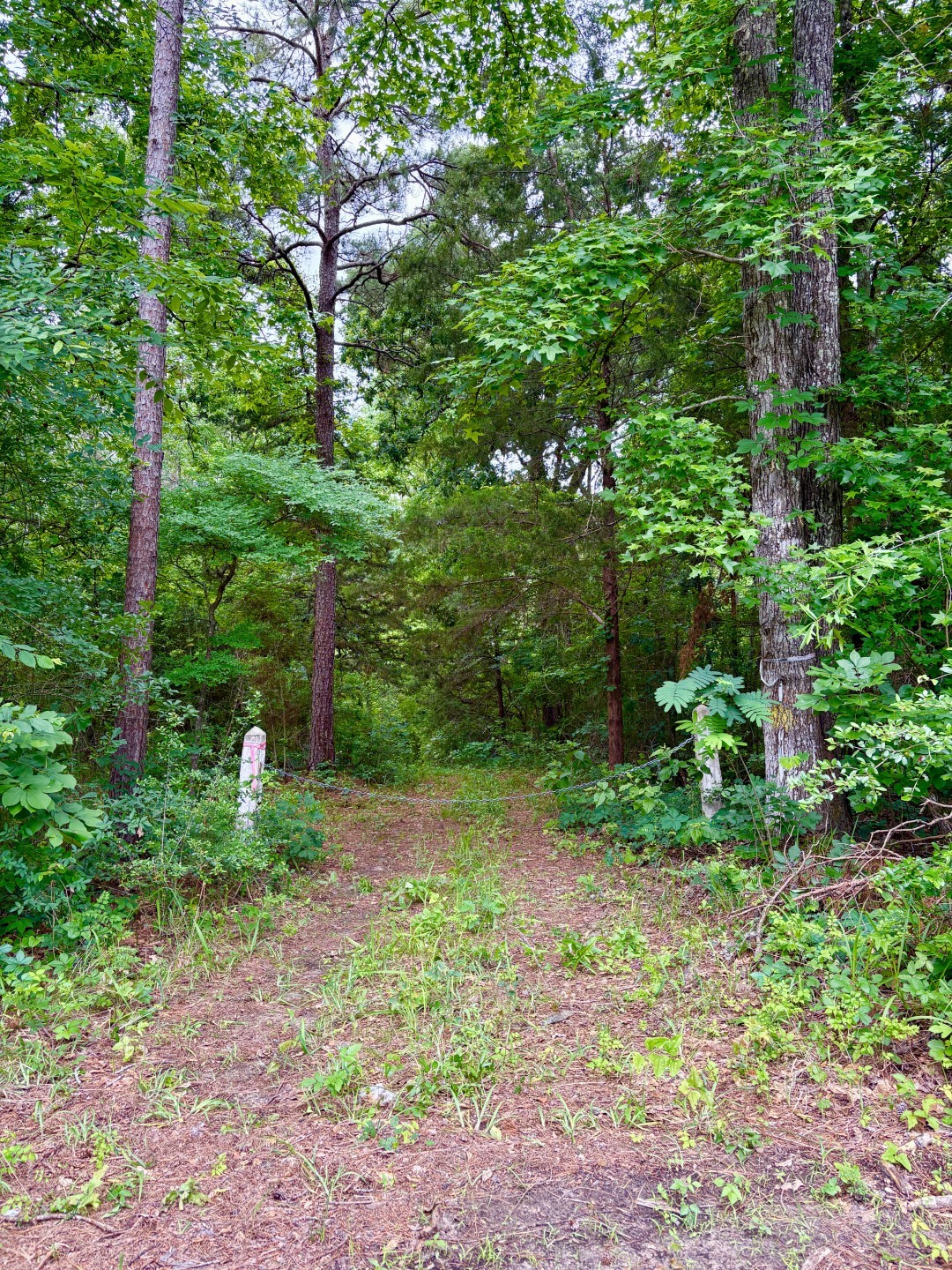 Tbd County Road 4504 Jacksonville TX 75766