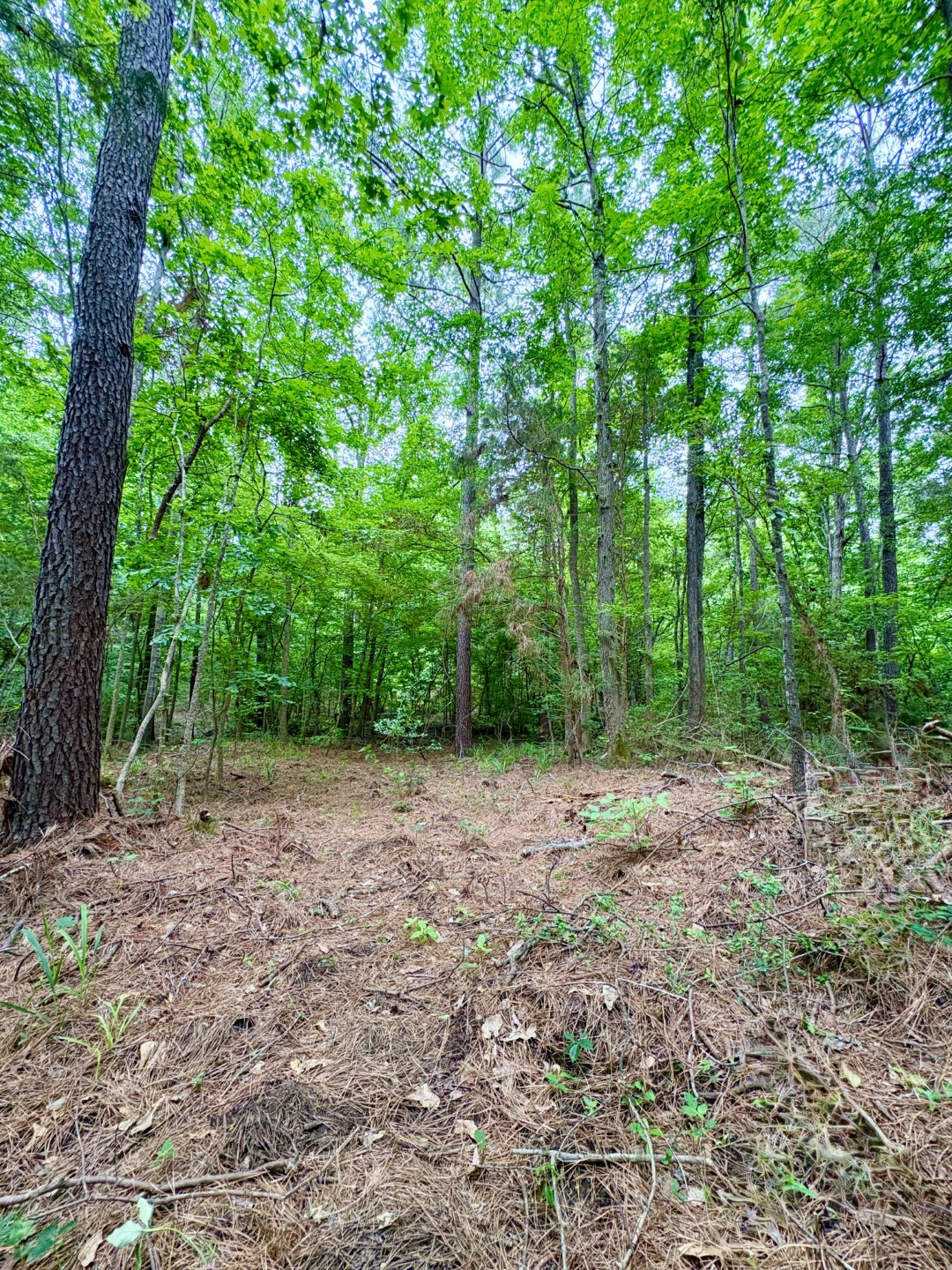 Tbd County Road 4504 Jacksonville TX 75766