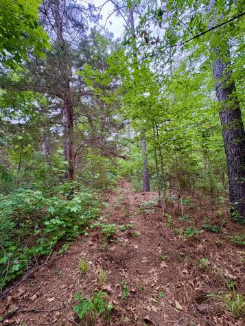 TBD County Road 4504 Jacksonville TX 75766