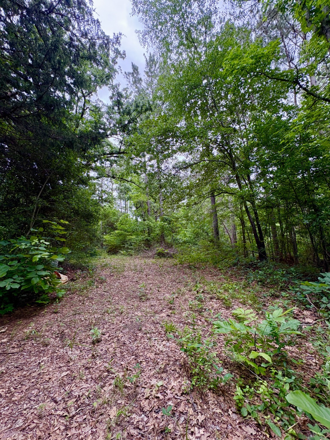 Tbd County Road 4504 Jacksonville TX 75766