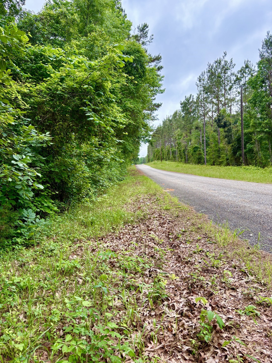 Tbd County Road 4504 Jacksonville TX 75766