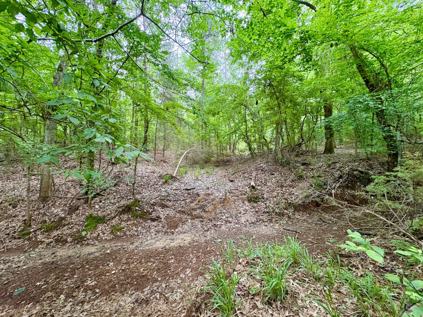 Tbd County Road 4504 Jacksonville TX 75766