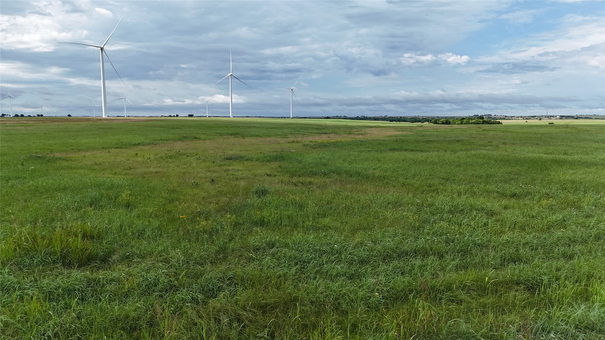 Tbd County Road 431 Muenster TX 76252